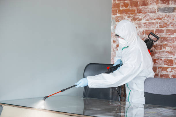 Professional Mold Removal in Maysville, KY